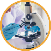 Microscope_AdobeStock_445991336